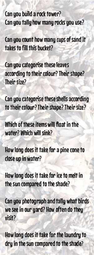 A series of educational questions focusing on children's interactions with natural items like rocks, leaves, and shells, set against a blurred background of natural elements.
