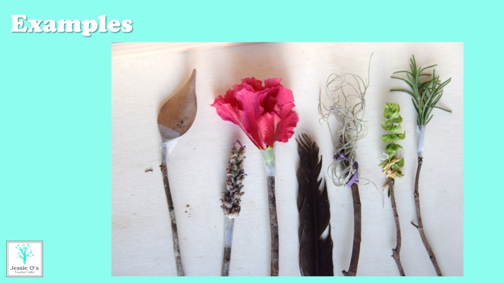 A collection of natural items including a leaf, a flower, twigs, herbs, and a feather, displayed on a light wooden surface with a turquoise background and the word 'Examples' at the top.