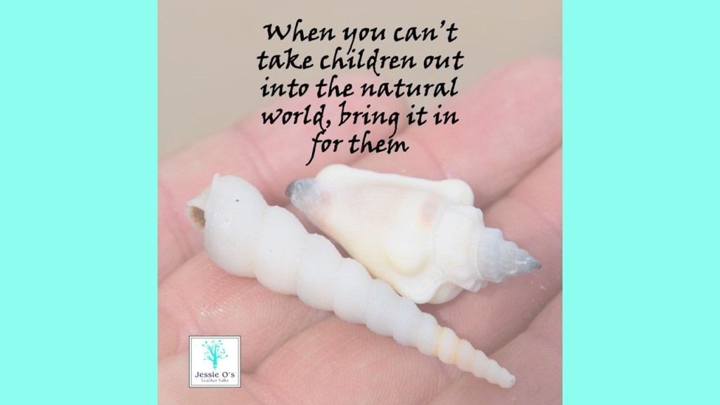 A hand holding two seashells with a quote about incorporating nature into children's learning.